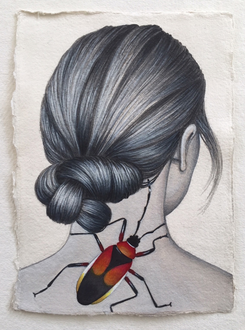 Home page slide show 